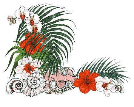 Composition of seashells and tropical plants and flowers, vector illustration