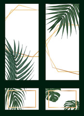 Tropical plants, monstera leaves, template for cards, invitations, banner, booklet, vector illustration