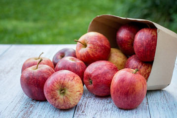 Organic ripe apples in a recyclable paper box on a wooden table in the garden. Cooking ingredients. Harvest. Sustainable living. Say “no” to plastic packaging.