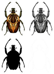Silhouette, color and outline version