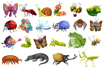 Set of insects including butterflies, ants, beetles, lizards, frogs and bees