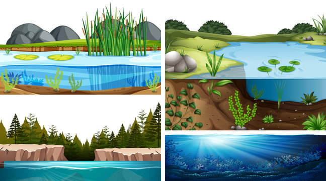 Aquatic ecosystems with pond, lake, river