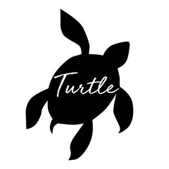 Beautiful turtle art water color background illustration