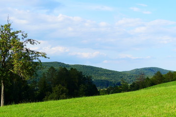 Wienerwald Landschaft