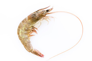 Fresh prawn isolated on a white background.