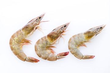 Fresh prawn isolated on a white background. © pjjaruwan