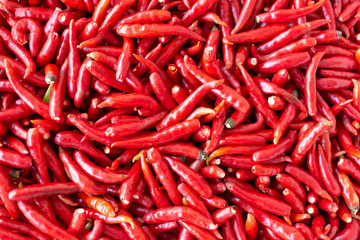 Red Chillies Background,Selective focus