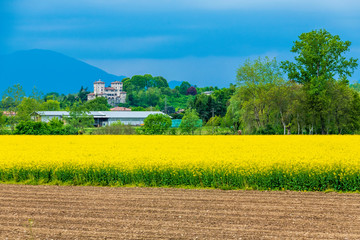 Yellow fields of rape on the hills of Friuli. Cassacco and its castle