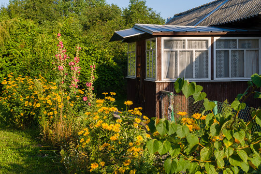 รูปภาพWojszki เลือกดูภาพถ่ายสต็อก เวกเตอร์ และวิดีโอ82 Adobe Stock