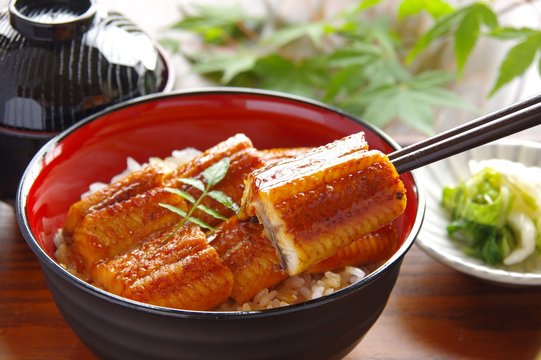 1 467 件の最適な うな丼 画像 ストック写真 ベクター Adobe Stock