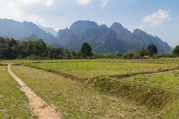 Fototapeta na wymiar Beautiful view of farmland and karst limestone mountains near Vang Vieng, Vientiane Province, Laos, on a sunny day.