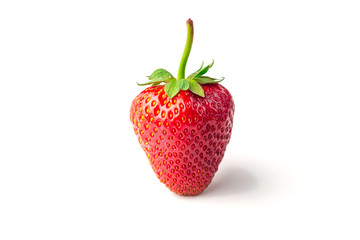 Red berry strawberry isolated on white background