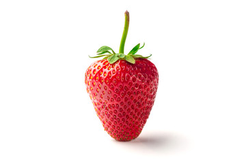 Red berry strawberry isolated on white background