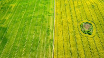 Yellow and green spring rape fields, aerial view of Poland