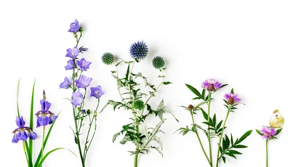 Möbelaufkleber Summer garden flowers set. © ifiStudio