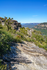 hiking the prince henry cliff walk, blue mountains, australia 3
