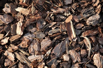 pile of old pine bark