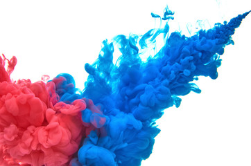Fototapeta premium Red and blue acrylic ink in water on white background. Abstract background.