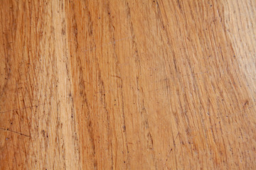 Fototapeta premium Wood background