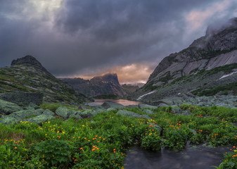 Flowers at the foot of the rocks