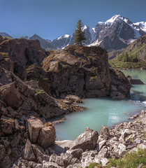thorny path to the mountains