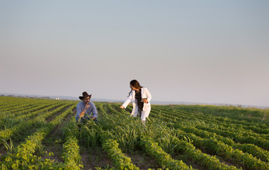 Farmer and agronomist in field with weeds