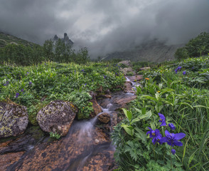 stream of mountain spirits