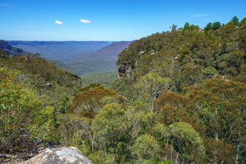 Fototapeta na wymiar hiking the prince henry cliff walk, blue mountains, australia 46