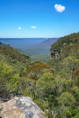 hiking the prince henry cliff walk, blue mountains, australia 45