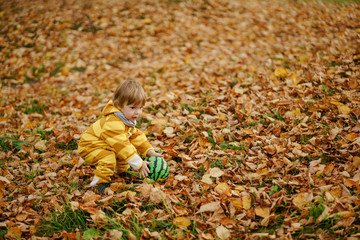 Concept: family, kids. Happy little child, baby boy laughing and playing with green ball in the autumn on the nature walk outdoors at park