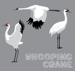 Whooping Crane Cartoon Vector Illustration
