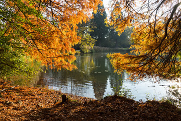 Autumn in the Solvay park near Brussels in Belgium