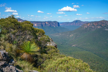 pulpit rock lookout, blue mountains national park, australia 23