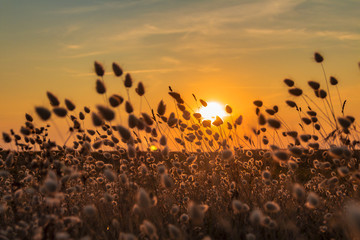 Photo Erdeven (Bretagne)