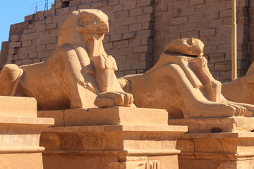 Alley of sphinxes at Karnak Temple Complex in Luxor, Egypt