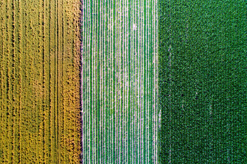 Abstract image of agricultural fields