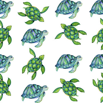 Beautiful turtle art water color background illustration