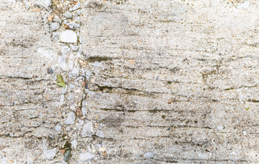 Closeup cement texture background, blank concrete pattern background