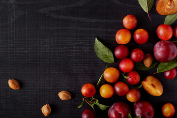 Top view of bright colorful fruit lying in chaotic order, there are several pits of cherry plums, creative pattern with tree leaves isolated over black background, copy space for advertisement.