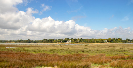Mousterlin. Les Marais. Finistère. Bretagne