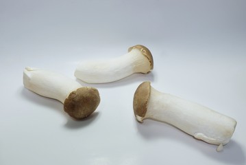 Fototapeta premium Mushrooms or Orinji isolated on white background, fresh vegetable for cooking