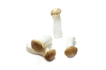 Poster Mushrooms or Orinji isolated on white background, fresh vegetable for cooking © Dark Caramel