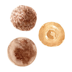 Watercolor sweet donut. Hand drawn dessert illustration. Design fabric, packaging