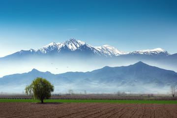 Snowy high Bozdag mountain view with farm and one tree. Izmir Turkey