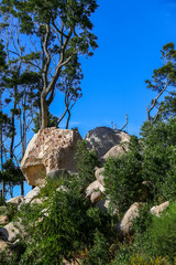 National natural park in Sintra, Portugal.