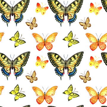 Set of watercolor butterflies. Vintage summer isolated spring art.