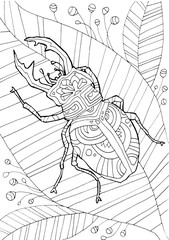 Bug. Insects. Hand drawing coloring for kids and adults. Beautiful drawings with patterns and fine details. One of a series of colored pictures.