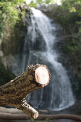 waterfall and tree, river,