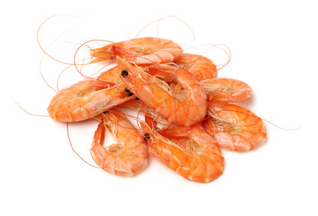 shrimps on a white background