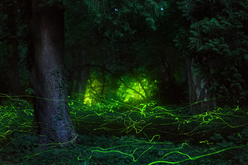 Fairytale scene fireflies night forest